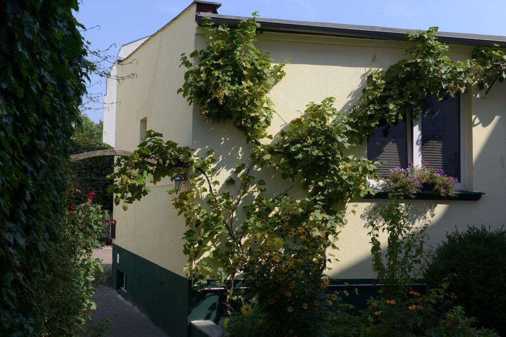 Hotel-Pension Mandy - Adults Only Senftenberg Buitenkant foto